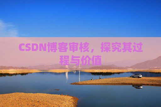 CSDN博客审核,探究其过程与价值